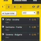 fortuna bet pariuri